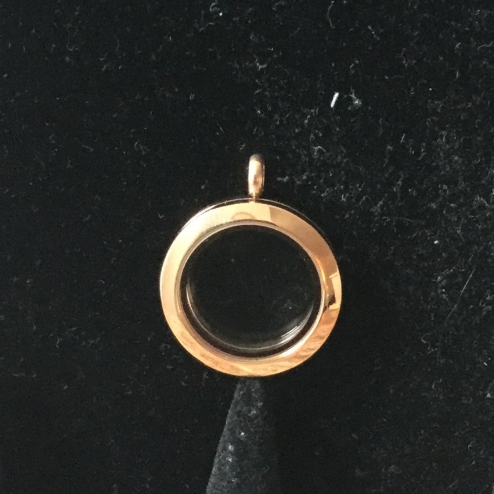ROSE GOLD Medium Hinged Classic